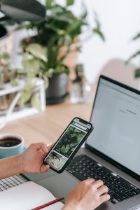 Webdesigner freelance à Paris travaillant sur un projet web